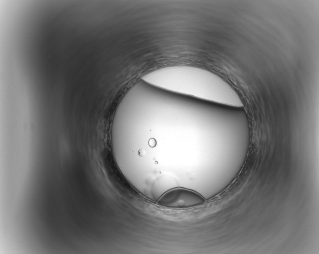 X0000096670030200802051019