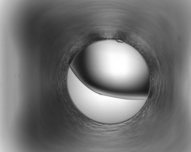X0000096670031200802051019