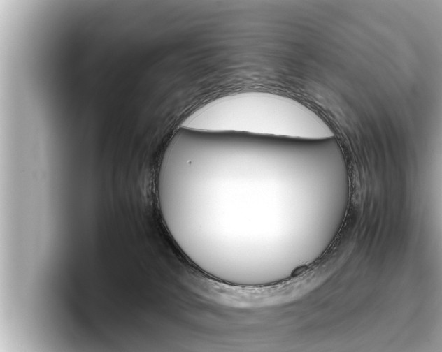 X0000096670034200802051019