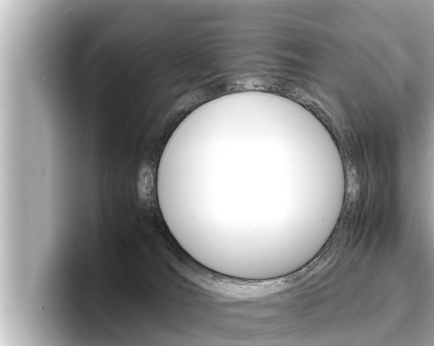X0000096670036200802051019