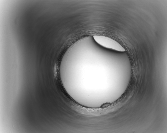 X0000096670038200802051018