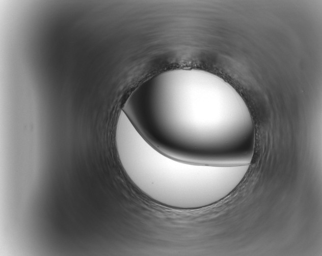 X0000096670039200802051018