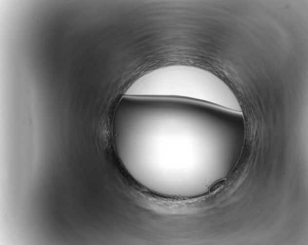 X0000096670040200802051018