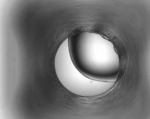 X0000096670041200802051018