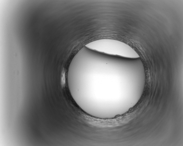 X0000096670042200802051018