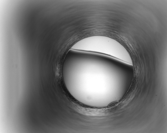 X0000096670044200802051018
