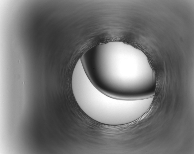 X0000096670045200802051018