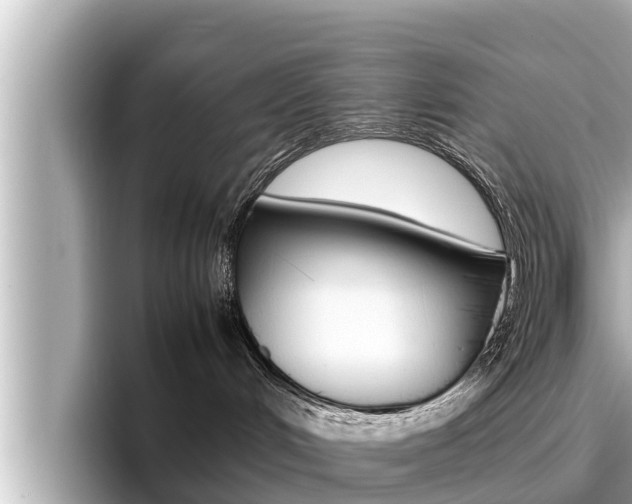 X0000096670048200802051018