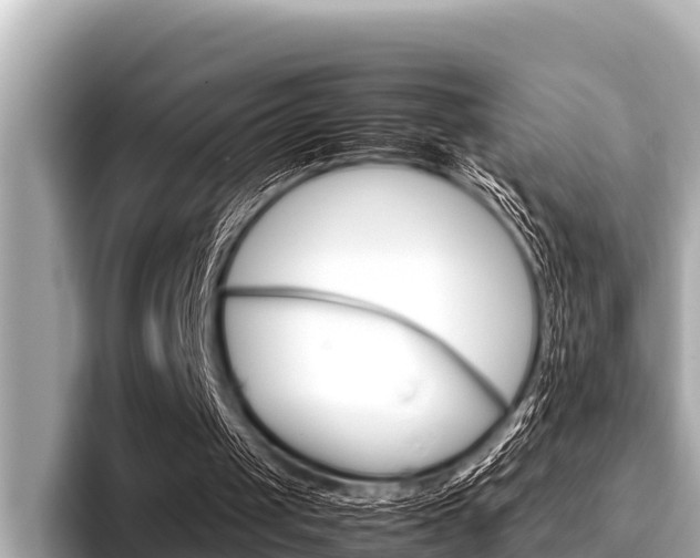 X0000096670049200802051018