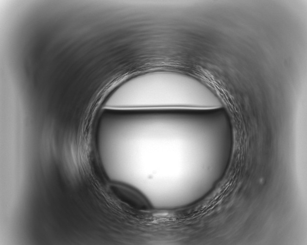 X0000096670050200802051018