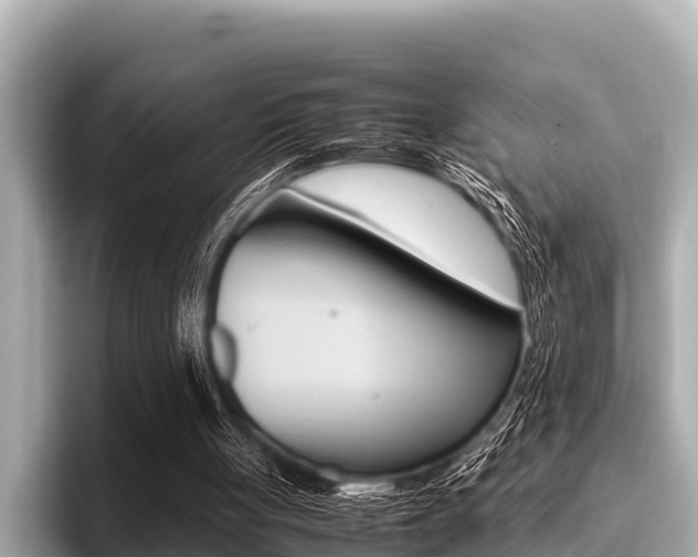X0000096670051200802051018