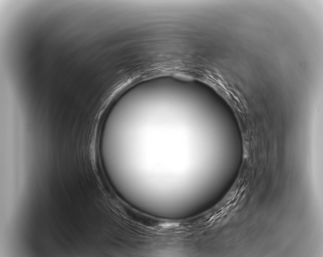 X0000096670052200802051018