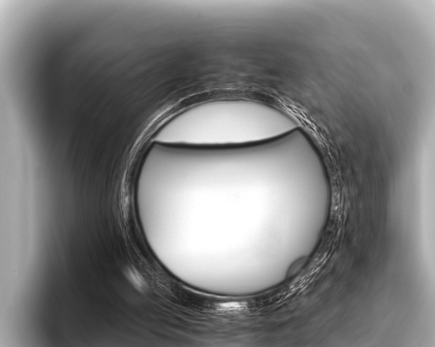 X0000096670053200802051018