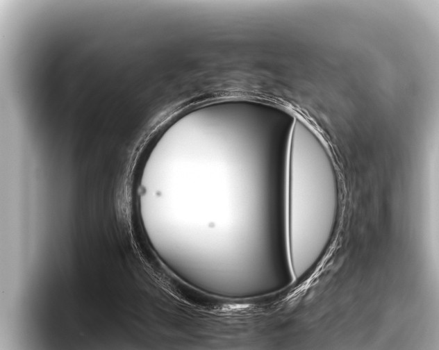 X0000096670055200802051018