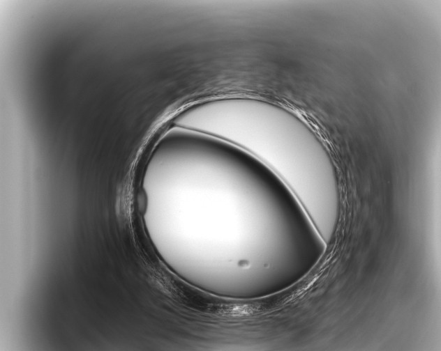 X0000096670056200802051018