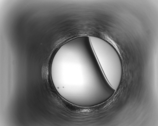 X0000096670059200802051018