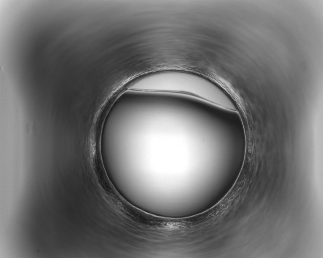 X0000096670060200802051018