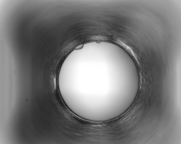 X0000096670061200802051018