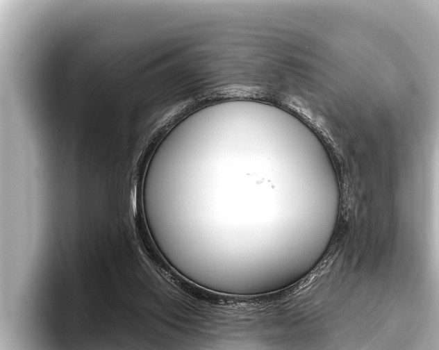 X0000096670062200802051018
