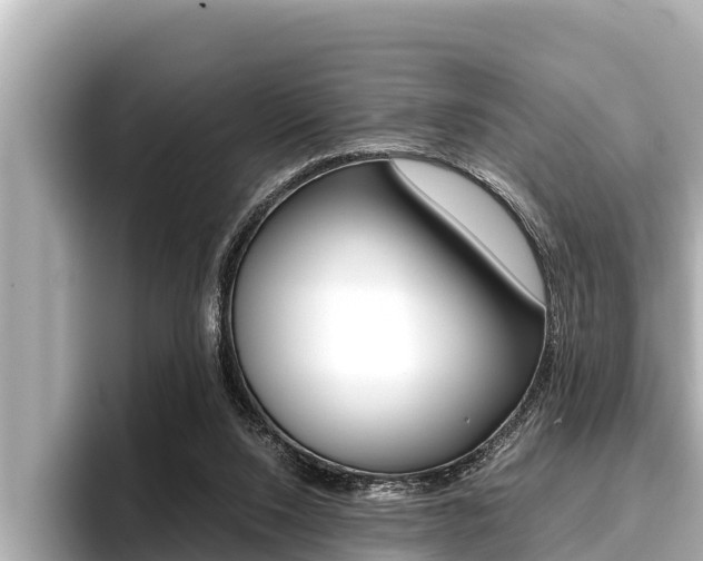 X0000096670064200802051018