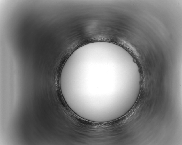 X0000096670065200802051018