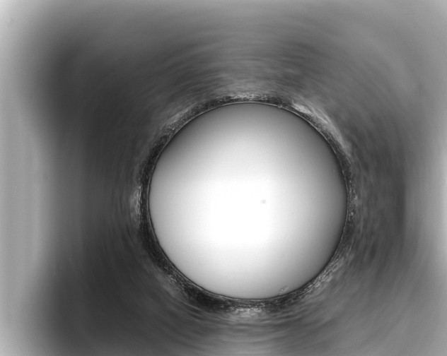 X0000096670066200802051018