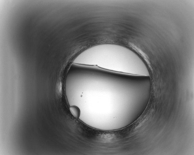 X0000096670067200802051018