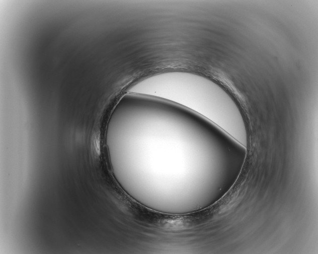 X0000096670068200802051018