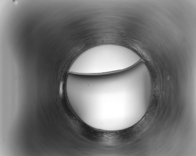 X0000096670070200802051018