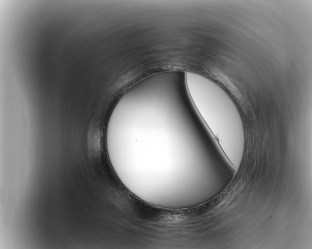 X0000096670071200802051018