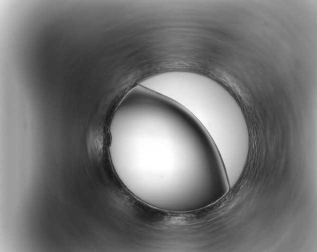 X0000096670072200802051018