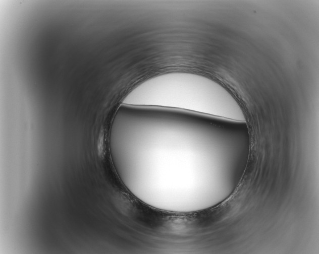 X0000096670074200802051018