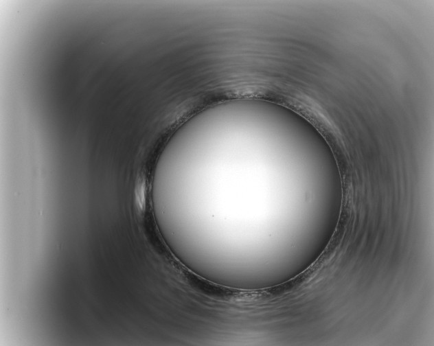 X0000096670076200802051018