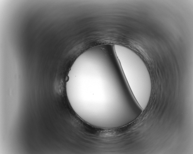 X0000096670077200802051018
