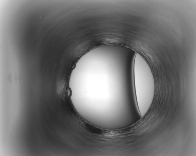 X0000096670079200802051018