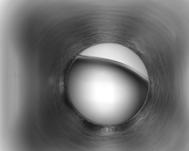 X0000096670080200802051018