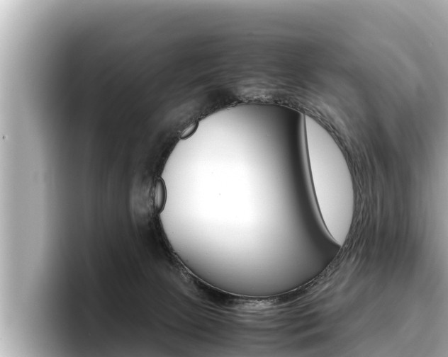 X0000096670081200802051018