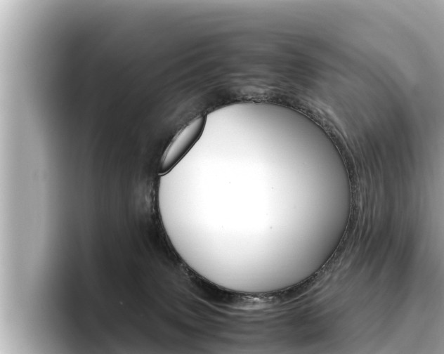 X0000096670083200802051018