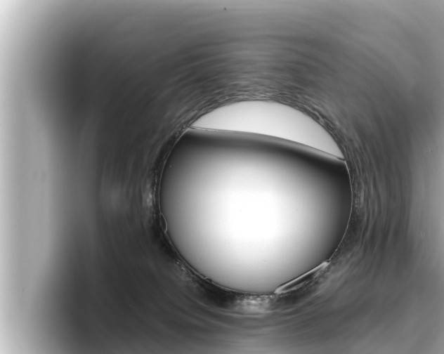X0000096670084200802051018