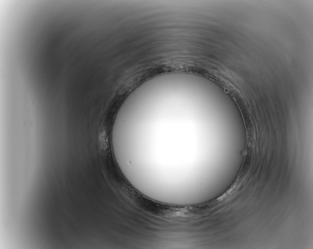 X0000096670086200802051018