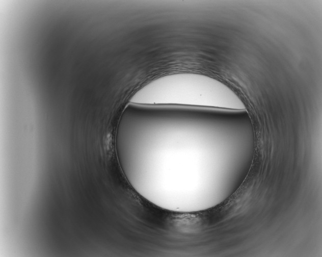 X0000096670087200802051018