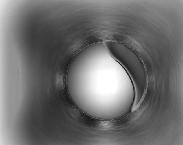 X0000096670088200802051018