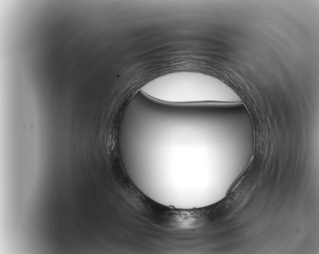 X0000096670091200802051018