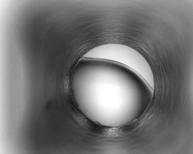 X0000096670092200802051018