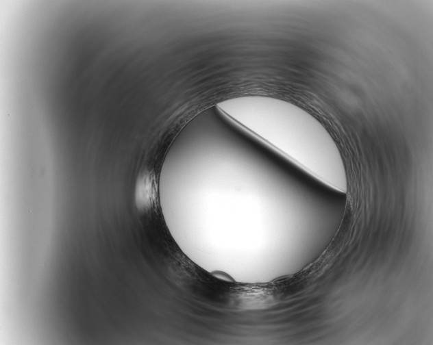 X0000096670095200802051018