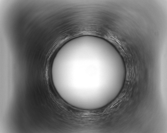 X0000096670098200802051018