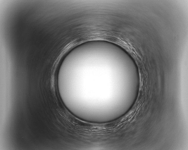 X0000096670099200802051018