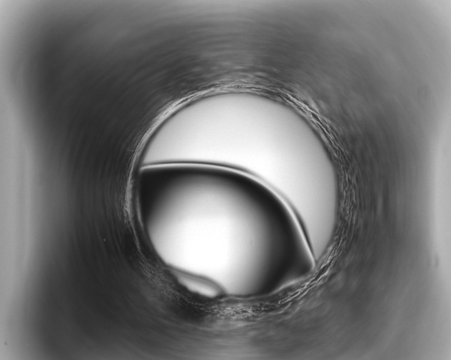 X0000096670100200802051018