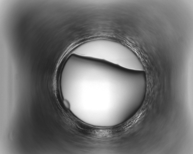 X0000096670102200802051018