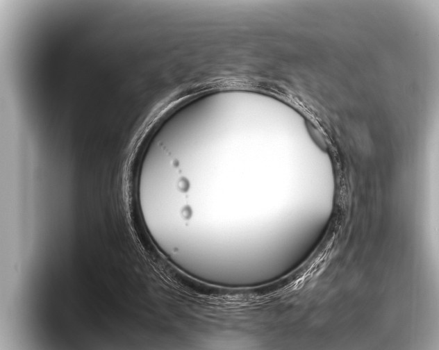 X0000096670103200802051018